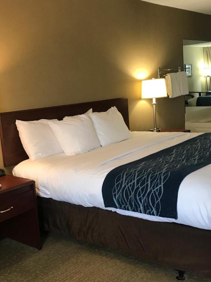 Comfort Inn Кембридж Екстер'єр фото